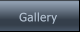 Gallery Gallery