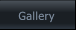 Gallery Gallery