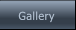 Gallery Gallery